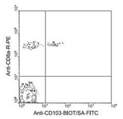 Integrin alpha E/CD103 Antibody (2E7) - Azide and BSA Free, Novus Biologicals