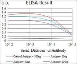 Integrin beta 4/CD104 Antibody (10B10D5), Novus Biologicals:Antibodies:Primary