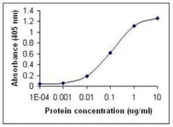 IFN-alpha 2 Antibody, Novus Biologicals 0.025 mg, Unconjugated:Antibodies,
