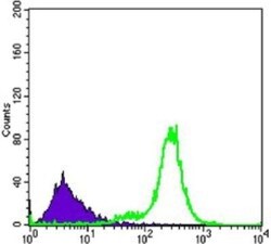 IL-34 Antibody (1D12), Novus Biologicals 0.1mL; Unlabeled:Antibodies, Monoclonal