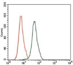 JNK1 Antibody (1E5) - BSA Free, Novus Biologicals 0.1mL; Unlabeled:Antibodies,