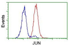 c-jun Antibody (OTI3G2), Novus Biologicals 0.1mL; Unlabeled:Antibodies,