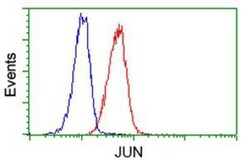 c-jun Antibody (OTI3G2), Novus Biologicals 0.1mL; Unlabeled:Antibodies,