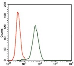 Keap1 Antibody (7G4B10) - BSA Free, Novus Biologicals:Antibodies:Primary