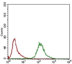 KHDRBS2 Antibody (7G8C10) - BSA Free, Novus Biologicals:Antibodies:Primary