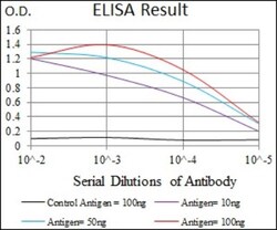 KLF1 Antibody (1B6A3) - BSA Free, Novus Biologicals:Antibodies:Primary