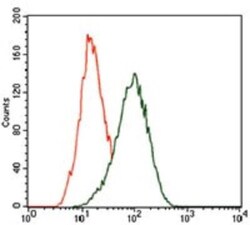 KLF1 Antibody (1B6A3) - BSA Free, Novus Biologicals:Antibodies:Primary
