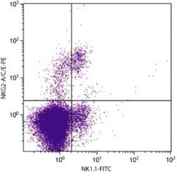 KLRC1/2/3 Antibody (20d5), FITC, Novus Biologicals 0.25mg; FITC:Antibodies,