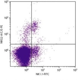 KLRC1/2/3 Antibody (20d5) - Azide and BSA Free, Novus Biologicals 0.25mg;
