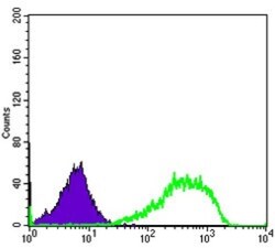 Ku80/XRCC5 Antibody (5C5), Novus Biologicals 0.1mL; Unlabeled:Antibodies,