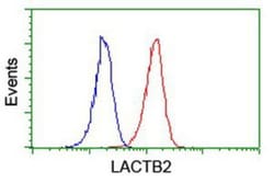 lactamase, beta 2 Antibody (OTI2F9), Novus Biologicals 0.1mL; Unlabeled:Antibodies,
