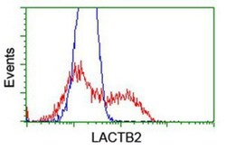 lactamase, beta 2 Antibody (OTI2F9), Novus Biologicals 0.1mL; Unlabeled:Antibodies,