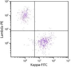 Lambda Light Chain Antibody, TRITC, Novus Biologicals 1mg; TRITC:Antibodies,