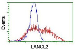 LANCL2 Antibody (OTI2A11), Novus Biologicals 0.1 mL | Buy Online | Novus Biologicals | Fisher Scientific