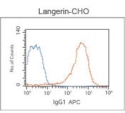 Langerin/CD207 Antibody (310F7.02), Novus Biologicals 0.1mg; Unlabeled:Antibodies,