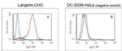 Langerin/CD207 Antibody (310F7.02), Novus Biologicals 0.1mg; Unlabeled:Antibodies,