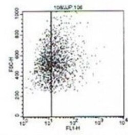 Langerin/CD207 Antibody (918A11), Novus Biologicals 0.1mg; Unlabeled:Antibodies,