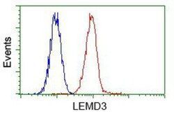 LEMD3 Antibody (OTI6C10), Novus Biologicals 0.1mL; Unlabeled:Antibodies,
