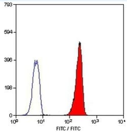 Leukotriene B4 R1 Antibody (202/7B1) - BSA Free, Novus Biologicals 0.025