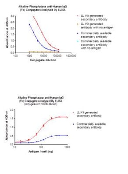 Novus Biologicals Lightning-Link (R) Alkaline Phosphatase Antibody Labeling Kit 300 &mu;g | Buy Online | Novus Biologicals&trade; | Fisher Scientific