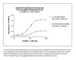 Novus Biologicals Lightning-Link (R) Alkaline Phosphatase Antibody Labeling Kit