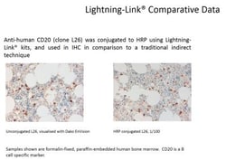 Novus Biologicals Lightning-Link (R) HRP Antibody Labeling Kit 5 mg | Buy Online | Novus Biologicals&trade; | Fisher Scientific
