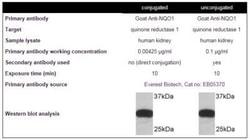 Novus Biologicals Lightning-Link (R) HRP Antibody Labeling Kit