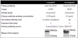 Novus Biologicals Lightning-Link (R) HRP Antibody Labeling Kit