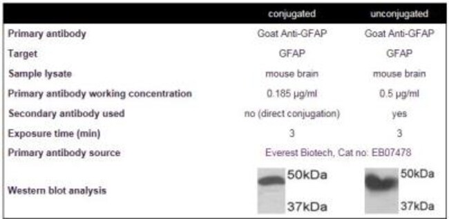 Novus Biologicals Lightning-Link HRP Antibody Labeling Kit 3 x   Reactions:Protein | Fisher Scientific