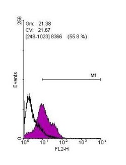LIN-28A Antibody, Novus Biologicals 0.1mL; Unlabeled:Antibodies, Polyclonal