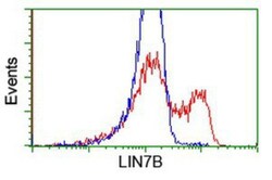 LIN7B Antibody (OTI1C9), Novus Biologicals 0.1mL; Unlabeled:Antibodies,