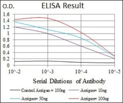 Lipoprotein a Antibody (4H1) - BSA Free, Novus Biologicals:Antibodies:Primary