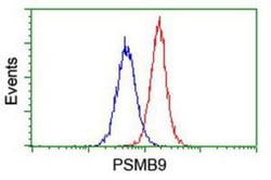 LMP2/PSMB9 Antibody (OTI1D1), Novus Biologicals 0.1mL; Unlabeled:Antibodies,