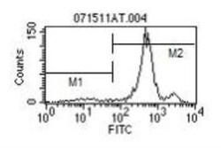 Ly-6C Antibody (HK1.4) - Azide and BSA Free, Novus Biologicals 0.25 mg | Buy Online | Novus Biologicals | Fisher Scientific