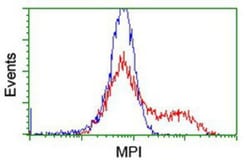 Mannose Phosphate Isomerase Antibody (OTI1C7), Novus Biologicals 0.1mL;