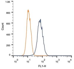 IGF-II R/IGF2R Antibody (2G11) - BSA Free, Novus Biologicals 0.1mL; Unlabeled:Antibodies,