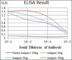 Mark3 Antibody (2G12) - BSA Free, Novus Biologicals 0.1mL; Unlabeled:Antikörper