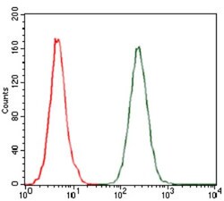 CCL2/MCP1 Antibody (2D8) - BSA Free, Novus Biologicals 0.1mL; Unlabeled:Antibodies