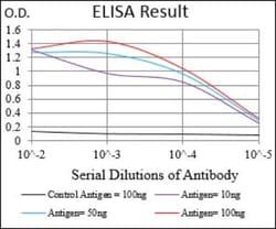 MDR1/ABCB1 Antibody (6G11C12) - BSA Free, Novus Biologicals 0.025 mL | Buy Online | Novus Biologicals | Fisher Scientific