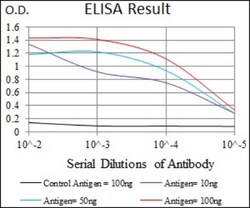 MEF2C Antibody (6H2G2) - BSA Free, Novus Biologicals:Antibodies:Primary