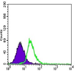 MEF2C Antibody (6H2G2) - BSA Free, Novus Biologicals:Antibodies:Primary