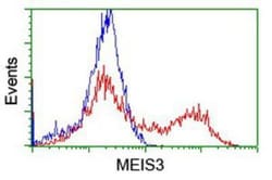 Meis homeobox 3 Antibody (OTI3E12), Novus Biologicals 0.1mL; Unlabeled:Antibodies,