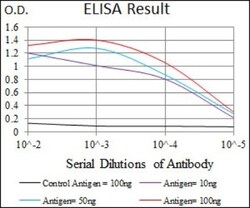MESP2 Antibody (1B3F9) - BSA Free, Novus Biologicals 0.1mL; Unlabeled:Antibodies,