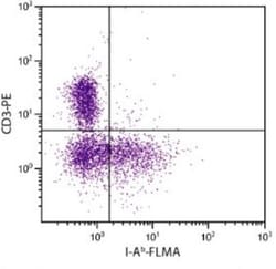 MHC Class II antigen I A beta 1 Antibody (25-9-3), Novus Biologicals 0.5mg;