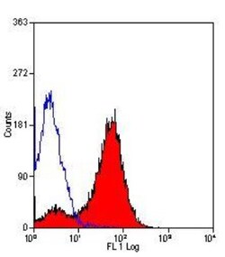MHC Class II RT1B Antibody (OX-6) - BSA Free, Novus Biologicals 0.05mg;