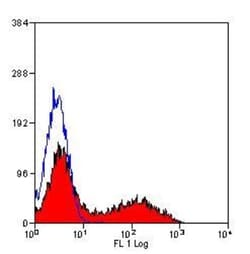 MHC Class II RT1B Antibody (OX-6) - BSA Free, Novus Biologicals 0.05mg;