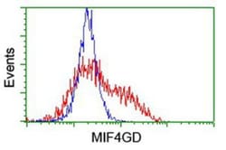 MIF4GD Antibody (OTI4C11), Novus Biologicals 0.1mL; Unlabeled:Antibodies,