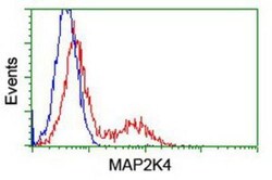 MKK4/MEK4 Antibody (OTI8A8), Novus Biologicals 0.1mL; Unlabeled:Antibodies,