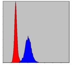 MMP-9 Antibody (5G3), Novus Biologicals 0.1mL; Unlabeled:Antibodies, Monoclonal