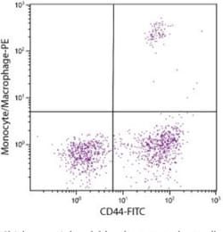 Monocyte/Macrophage Antibody (KUL01) - Azide and BSA Free, Novus Biologicals